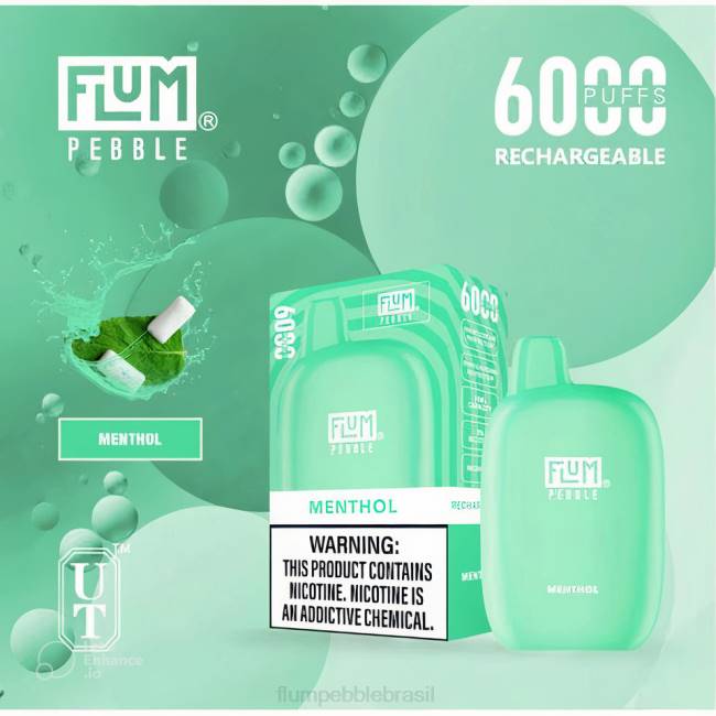 FLUM PEBBLES 6000 baforadas mentol 828A57 | FLUM PEBBLE VAPE FLAVORS